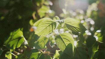 三八婦女節丨祝所有女神:愿你笑靨如花,一生不減芳華-杭州易造