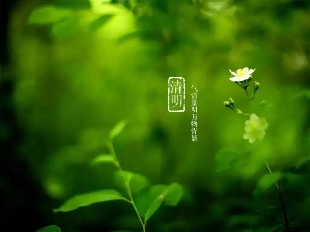 清明節——清明時節雨紛紛，路上行人欲斷魂